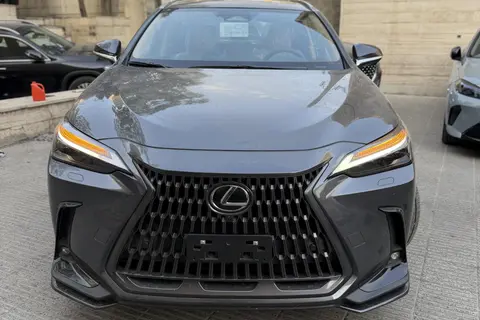 لکسوس، NX هیبرید