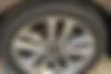کیا،  اپتیما