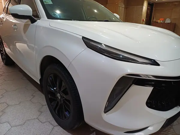 لاماری، ایما