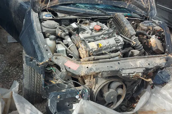 دنا، پلاس EF7