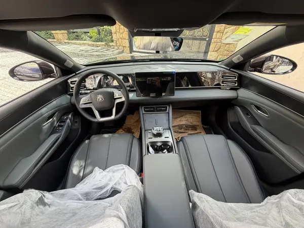 بی وای دی، چین ال DMi