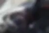 دنا،  پلاس EF7