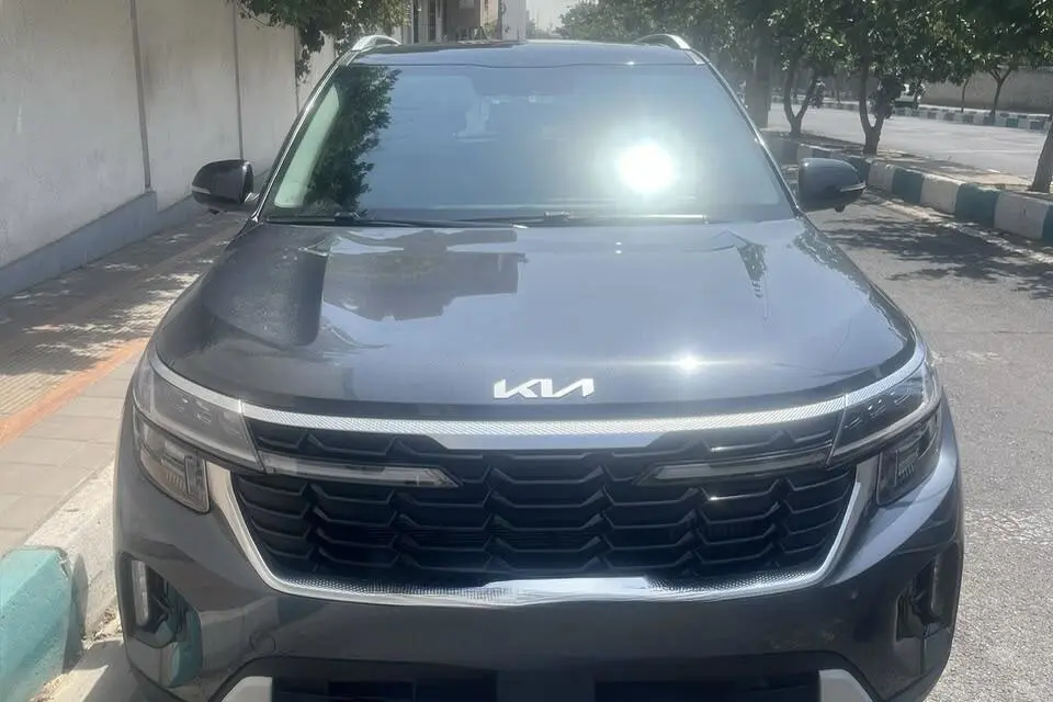 کیا،  سلتوس