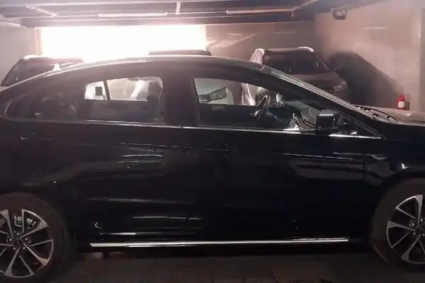 فونیکس، آریزو 6 پرو