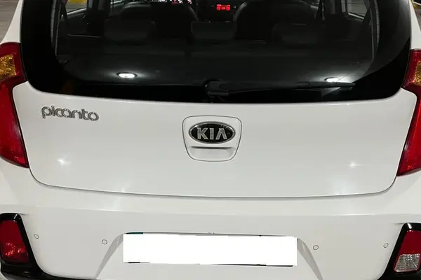 کیا  پیکانتو