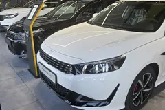 ریسپکت، پرایم