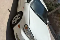 نیسان، ماکسیما