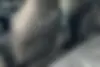 فونیکس  FX