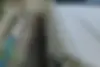 فولکس  گل