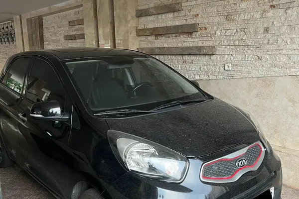 کیا، پیکانتو