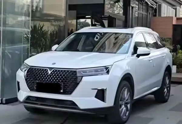 ونوسیا، استار