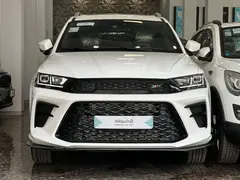 اس دبلیو ام، G01F