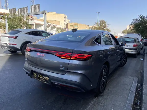 بی وای دی، چین L