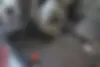 پراید  131