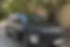 فونیکس، FX