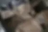 رنو  اسکالا
