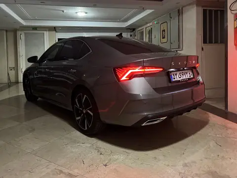 اشکودا، اوکتاویا پرو