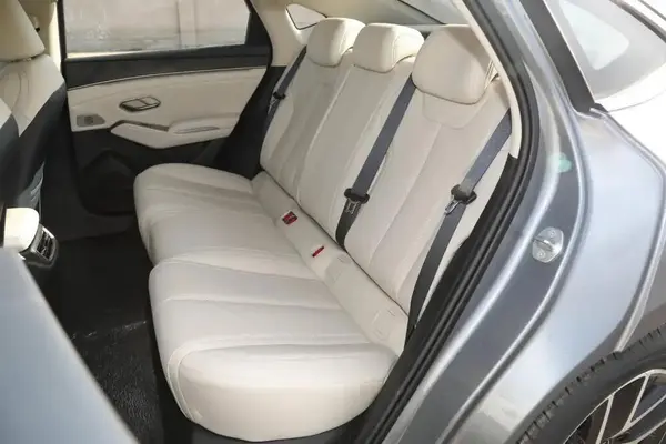 بی وای دی، چین L