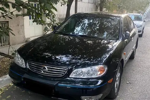نیسان، ماکسیما