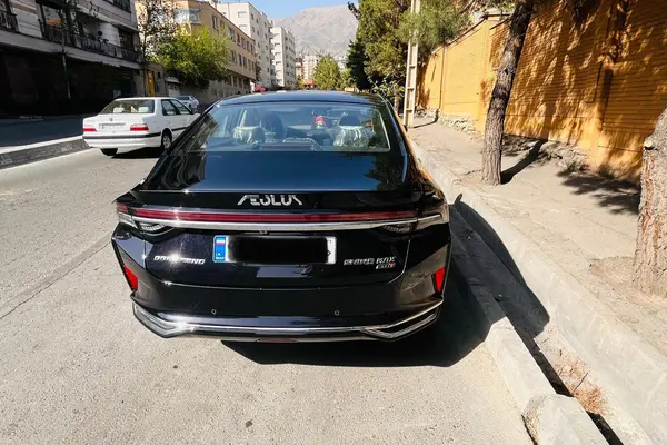 دانگ فنگ  شاین مکس