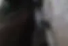 دنا  پلاس EF7P