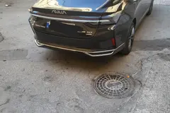 دانگ فنگ، شاین مکس