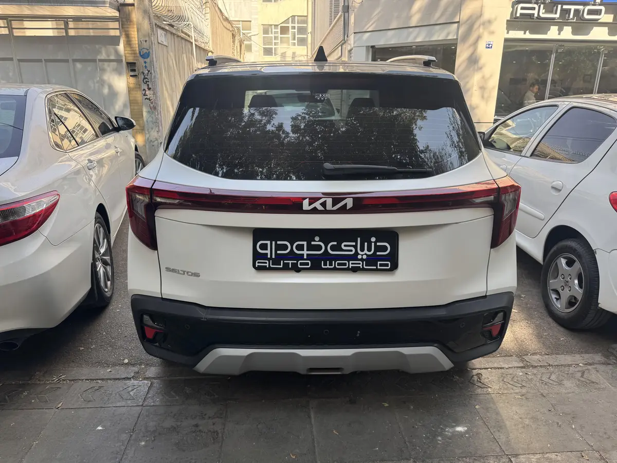 کیا،  سلتوس