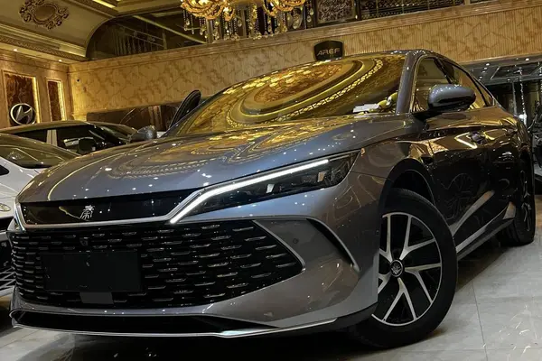 بی وای دی، چین L