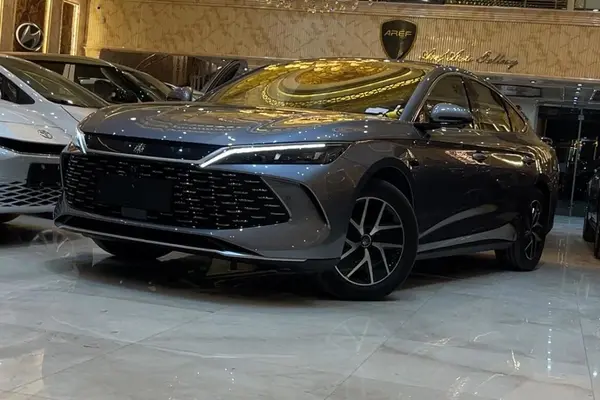 بی وای دی، چین L