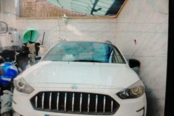 اطلس، دنده ای