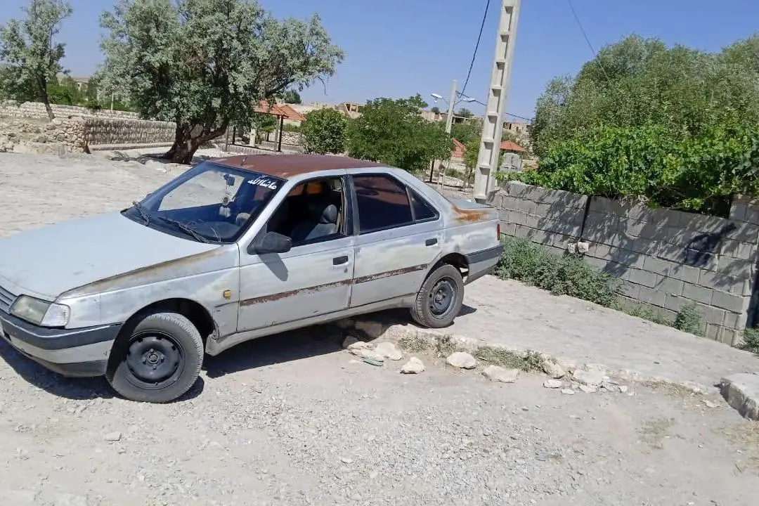 پژو  405