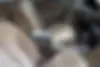نیسان  ماکسیما