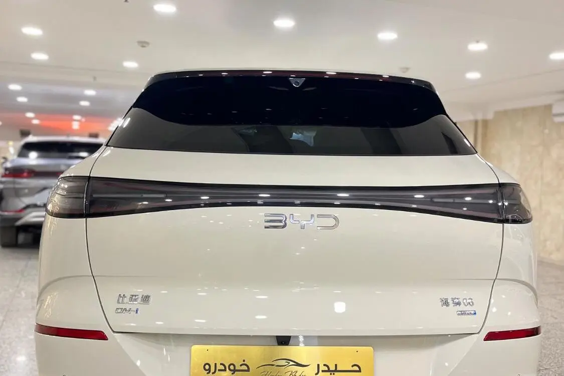 بی وای دی،  سی لاین 06 DMi