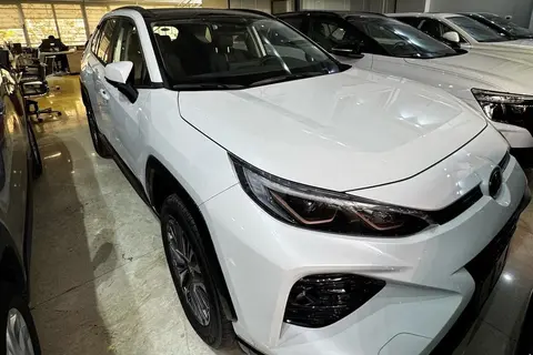 تویوتا، وایلدلندر