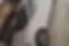 کیا  سراتو (مونتاژ)