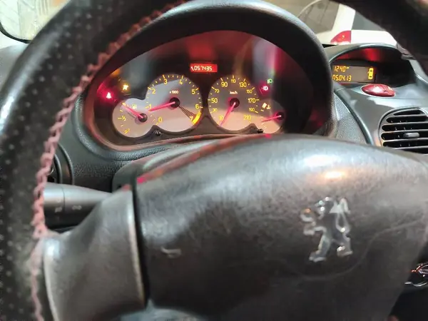 پژو  206