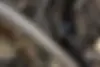 فونیکس  FX