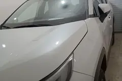 تویوتا، وایلدلندر