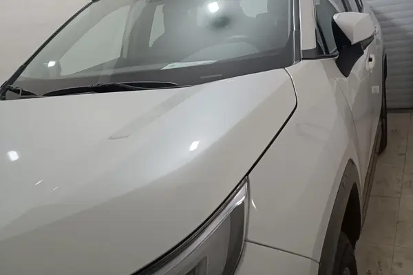 تویوتا، وایلدلندر