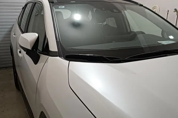 تویوتا، وایلدلندر