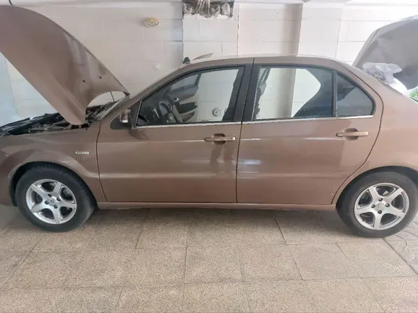 دنا  معمولی