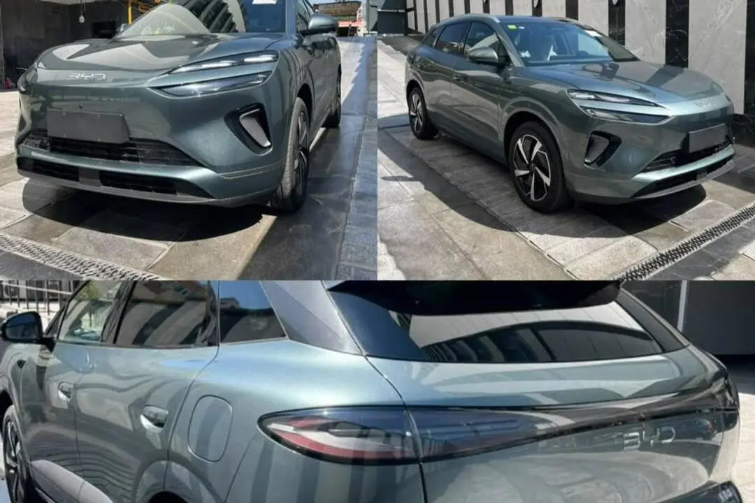 بی وای دی،  سی لاین 06 DMi