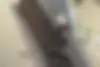 فونیکس  FX