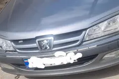 پژو، پارس