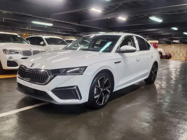 اشکودا، اوکتاویا پرو