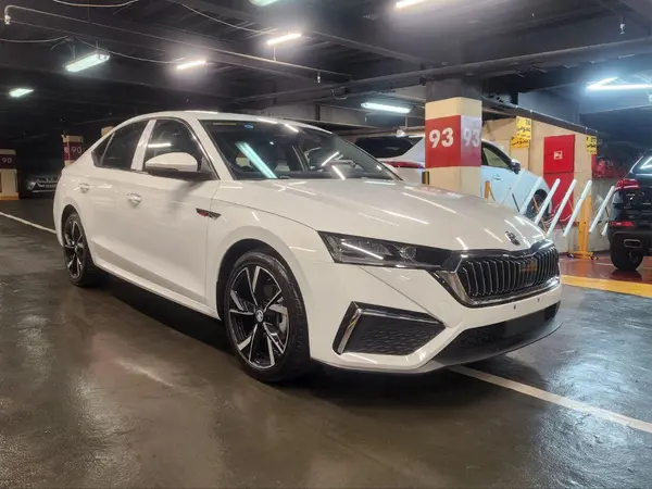 اشکودا، اوکتاویا پرو