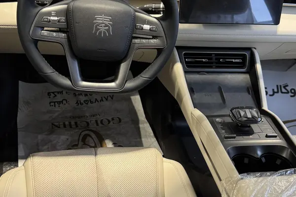 بی وای دی، چین ال DMi