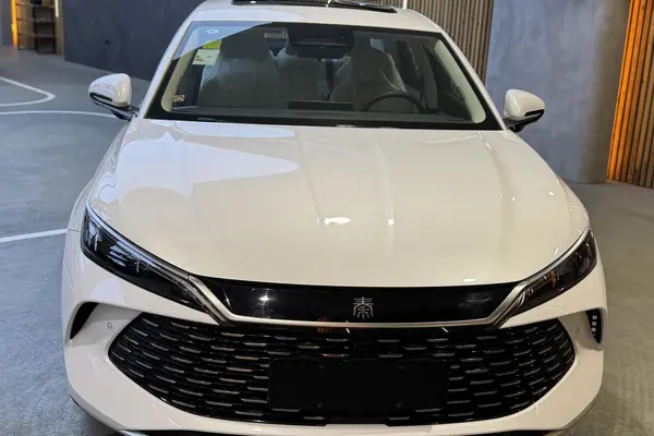 بی وای دی، چین ال DMi