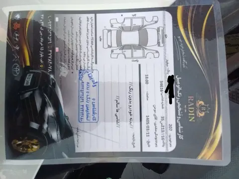 پژو، 207