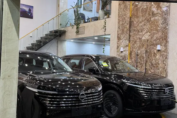 نیسان  پت فایندر